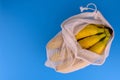 Zero waste shopping concept. Bananas in eco-cotton bags on a blue background. Plastic rejection concept. Copy space. Royalty Free Stock Photo