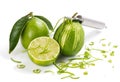 Zester with lime zest Royalty Free Stock Photo