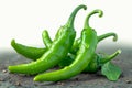 Zesty display Green chili peppers add a punch of color