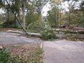 Zeta storm Aftermath in Georgia Royalty Free Stock Photo