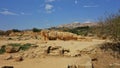 Zeus` temple, the Valley of the temples, Sicily