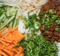 Zhajiang mian, with vegetables Royalty Free Stock Photo