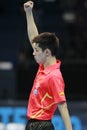 ZHANG Jike (CHN) Royalty Free Stock Photo