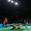 Zhang Jike playing table tennis at the Olympic Games in Rio 2016. Royalty Free Stock Photo