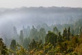 Zhangjiajie Forest Park. Gigantic pillar mountains rising from the canyon. Imperial Emperor`s Writing Brush Peak, Tianzi