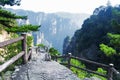 Zhangjiajie forest park Hunan province China