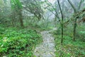 Zhangjiajie Forest Park.