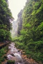 zhangjiajie grand canyon creek view