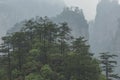 Zhangjiajie mountains in Wulingyuan national park, Hunan - China