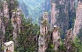 Zhangjiajie National Forest Park, Hunan, China