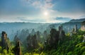 Zhangjiajie National forest park at sunset, Wulingyuan, Hunan, China Royalty Free Stock Photo