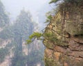 Zhangjiajie National Park