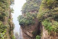 Zhangjiajie national park ( tian zhi shan ) ( Tianzi Mountain Nature Reserve ) and fog , China