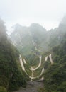 Zhangjiajie national park ( tian zhi shan ) ( Tianzi Mountain Nature Reserve ) and fog , China