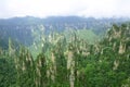 Zhangjiajie natural scenery in China.