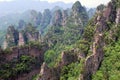 Zhangjiajie reserve