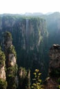 Zhangjiajie reserve