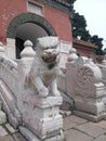 Zhaoling Mausoleum of the Qing Dynasty-stone lions