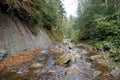 Zhenets river in Carpathian National Park, Gorgany mountain ridge, Ukraine Royalty Free Stock Photo