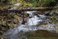 Zhenets river in Carpathian National Park, Gorgany mountain ridge, Ukraine Royalty Free Stock Photo