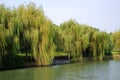 Zheng He treasure shipyard Ruins Park