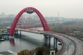 Zhivopisny Bridge is a cable-stayed bridge