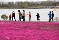 Zhiyinghua sea like colorful carpet, Baima Lake Tourist Resort, Huai`an City, Jiangsu Province, China
