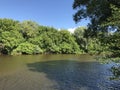 Zhizdra River on a sunny summer day. River in the forest of Optina Royalty Free Stock Photo