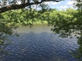 Zhizdra River on a sunny summer day. River in the forest of Optina Royalty Free Stock Photo