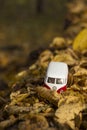 Zhmerynka, Ukraine - October 20 2019: Retro bus Volkswagen Transporter T1, white and red car in the forest among yellow leaves, Royalty Free Stock Photo