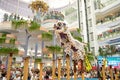 big shopping mall having Lion Dance show for the Dragon boat festival