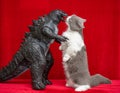 A british shorthair cat kissing a Godzilla