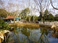 Zhongshan Park view
