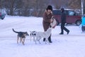 Zhytomyr, Ukraine - MARCH 05, 2014: old woman street feeding stray dogs