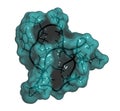 Ziconotide pain drug molecule. Synthetic form of omega conotoxin from cone snail