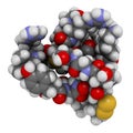 Ziconotide pain drug molecule. Synthetic form of omega conotoxin from cone snail