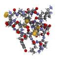 Ziconotide pain drug molecule. Synthetic form of omega conotoxin from cone snail.