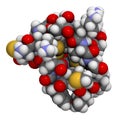 Ziconotide pain drug molecule. Synthetic form of omega conotoxin from cone snail.
