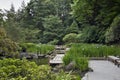 Zig Zag Bridge at Japanese Garden