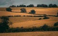 A zig zag patern of hedges around cereal fields under a very stormy sky. Royalty Free Stock Photo