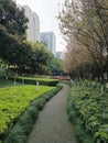 Zig zag walkway in City Park Royalty Free Stock Photo