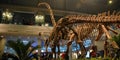 The Zigong Dinosaur Museum in Sichuan, China