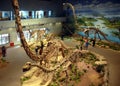 The Zigong Dinosaur Museum in Sichuan, China