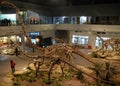 The Zigong Dinosaur Museum in Sichuan, China