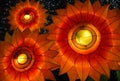 The Zigong Lantern Festival in Zigong, Sichuan, China. Orange sunflower lanterns. Royalty Free Stock Photo