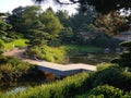Zigzag bridge in Japanese garden Royalty Free Stock Photo