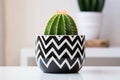 a zigzag cactus in a trendy geometric pot