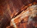 Zigzag fissure on varnished wood