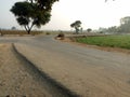 A ZigZag Road Alongside The Agricultural Crops