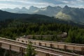 Zigzag wooden path in the forest against the Swiss Alps background Royalty Free Stock Photo